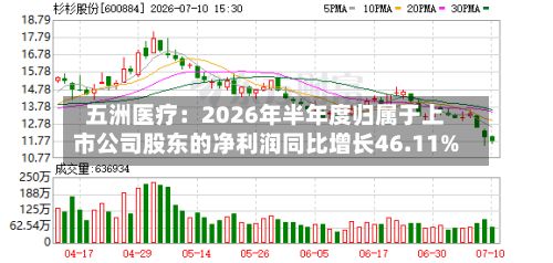 五洲医疗：2026年半年度归属于上市公司股东的净利润同比增长46.11%-第2张图片
