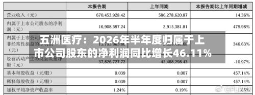 五洲医疗：2026年半年度归属于上市公司股东的净利润同比增长46.11%-第3张图片