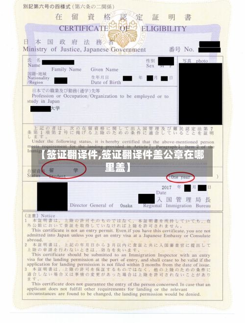 【签证翻译件,签证翻译件盖公章在哪里盖】-第3张图片