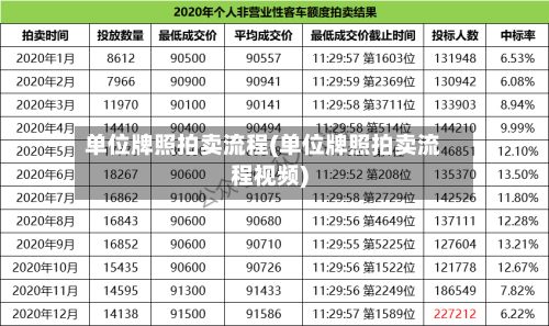 单位牌照拍卖流程(单位牌照拍卖流程视频)