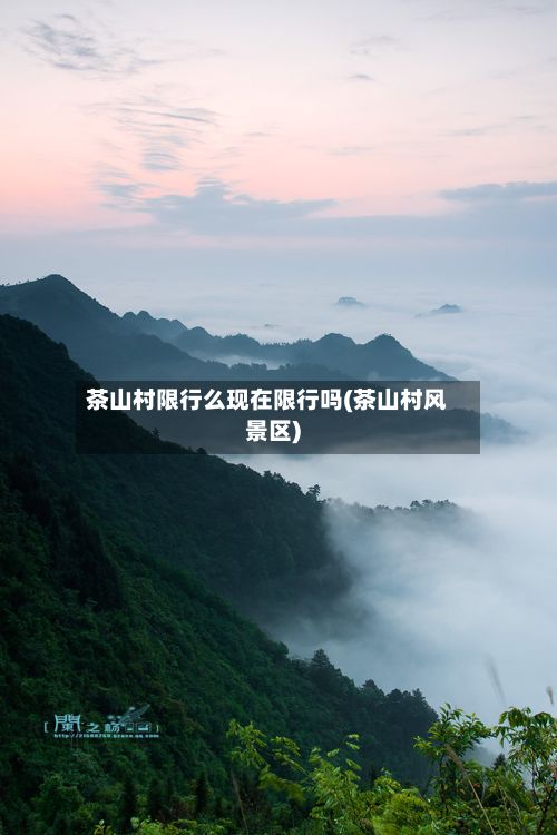 茶山村限行么现在限行吗(茶山村风景区)