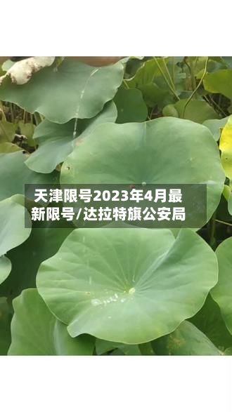 天津限号2023年4月最新限号/达拉特旗公安局