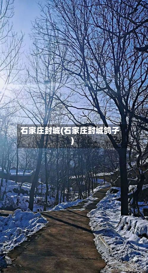 石家庄封城(石家庄封城鸽子)