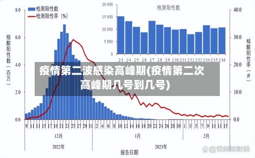 疫情第二波感染高峰期(疫情第二次高峰期几号到几号)