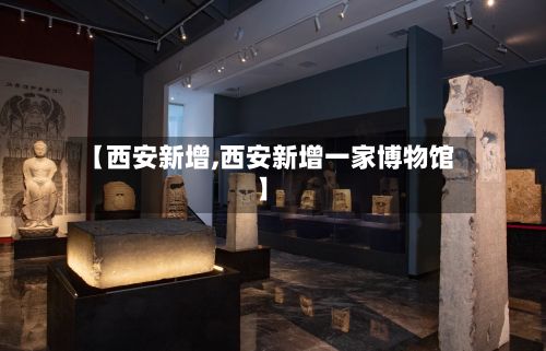 【西安新增,西安新增一家博物馆】-第3张图片