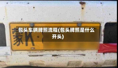 包头车辆牌照流程(包头牌照是什么开头)
