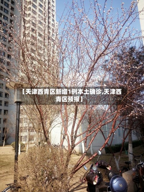 【天津西青区新增1例本土确诊,天津西青区预报】-第2张图片