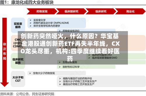 创新药突然哑火,什么原因?华宝基金港股通创新药ETF再失半年线,CXO龙头尽墨,机构:四季度继续看好医药