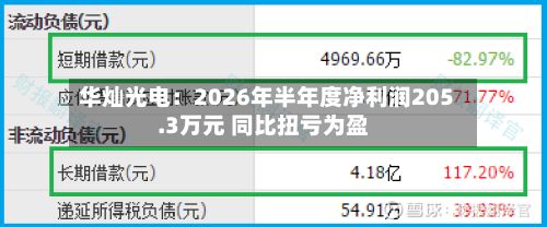 华灿光电：2026年半年度净利润205.3万元 同比扭亏为盈-第2张图片