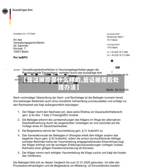 【签证被拒是什么样的,签证被拒后处理办法】-第2张图片