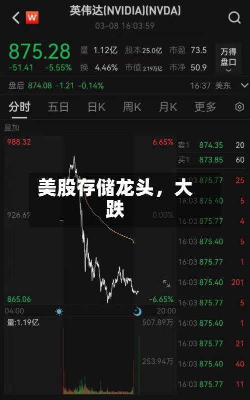 美股存储龙头，大跌