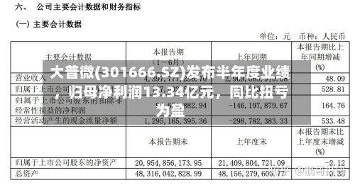 大普微(301666.SZ)发布半年度业绩	，归母净利润13.34亿元，同比扭亏为盈-第3张图片