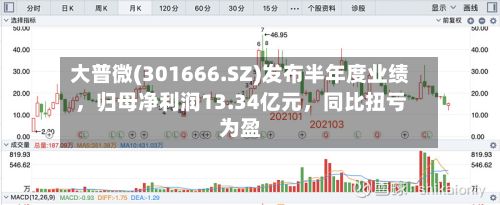 大普微(301666.SZ)发布半年度业绩	，归母净利润13.34亿元，同比扭亏为盈-第2张图片