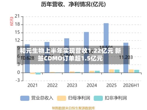 和元生物上半年实现营收1.22亿元 新签CDMO订单超1.5亿元-第3张图片
