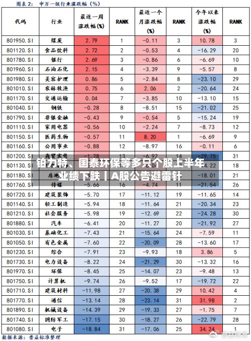 铂力特	、国泰环保等多只个股上半年业绩下跌丨A股公告避雷针-第2张图片