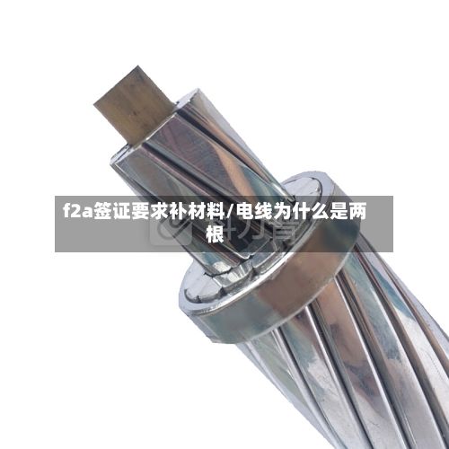 f2a签证要求补材料/电线为什么是两根
