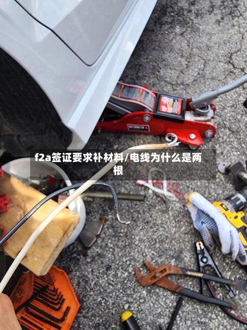 f2a签证要求补材料/电线为什么是两根-第2张图片