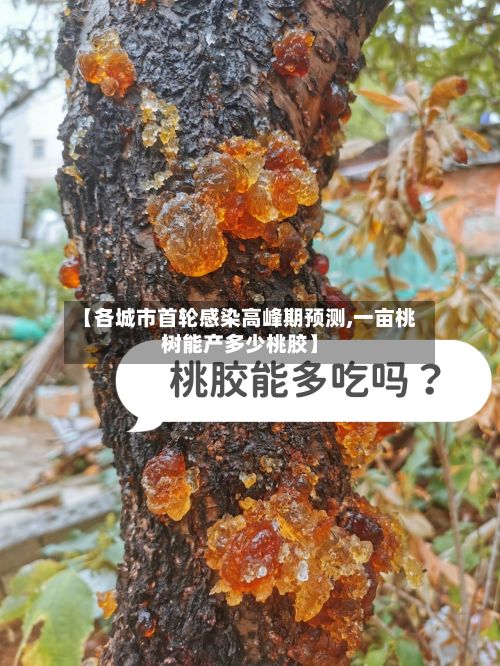 【各城市首轮感染高峰期预测,一亩桃树能产多少桃胶】