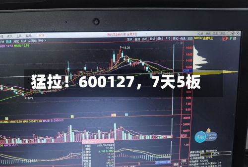 猛拉！600127	，7天5板-第2张图片