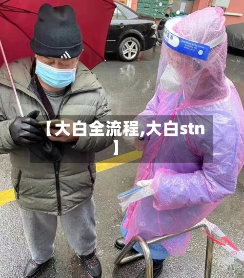【大白全流程,大白stn】
