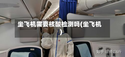 坐飞机需要核酸检测吗(坐飞机)-第2张图片