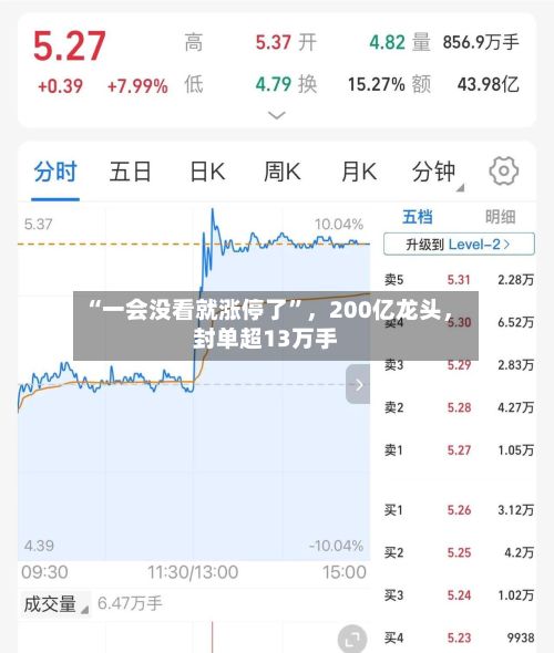 “一会没看就涨停了”，200亿龙头，封单超13万手