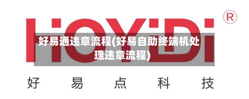 好易通违章流程(好易自助终端机处理违章流程)