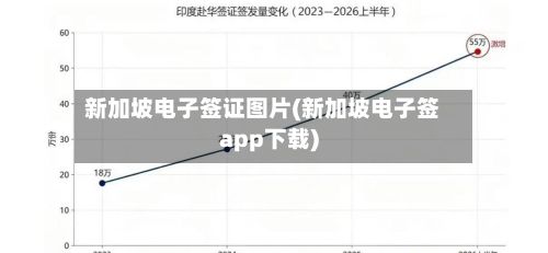 新加坡电子签证图片(新加坡电子签app下载)