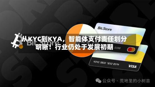 从KYC到KYA	，智能体支付责任划分明晰！行业仍处于发展初期-第2张图片