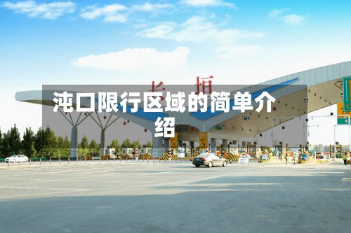 沌口限行区域的简单介绍