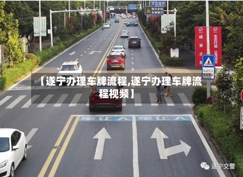 【遂宁办理车牌流程,遂宁办理车牌流程视频】-第3张图片