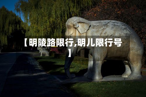【明陵路限行,明儿限行号】-第2张图片