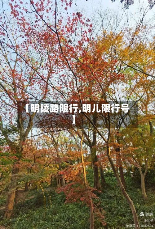 【明陵路限行,明儿限行号】