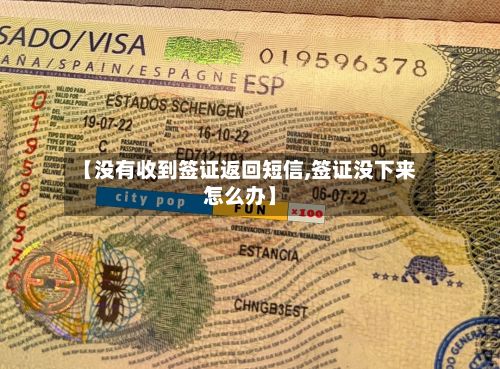 【没有收到签证返回短信,签证没下来怎么办】-第2张图片