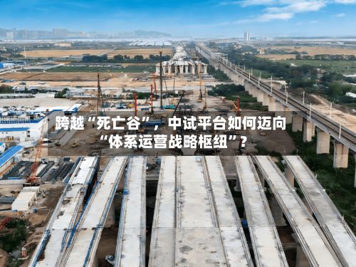 跨越“死亡谷”，中试平台如何迈向“体系运营战略枢纽”？