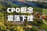 CPO概念震荡下挫 杰普特跌超10%