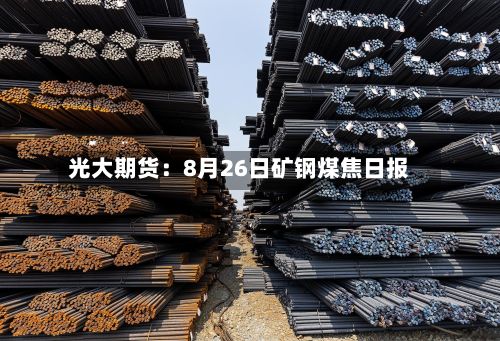 光大期货:8月26日矿钢煤焦日报-第2张图片