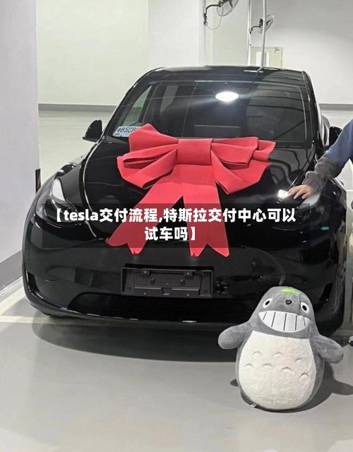 【tesla交付流程,特斯拉交付中心可以试车吗】