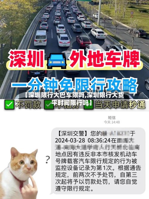 【深圳限行大巴车限吗,深圳限行大货平时间限行吗】