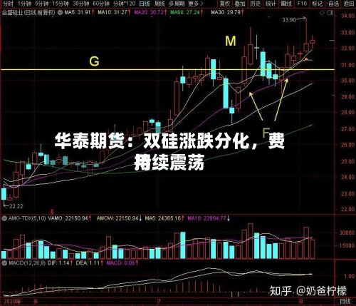 华泰期货：双硅涨跌分化，费用持续震荡-第1张图片