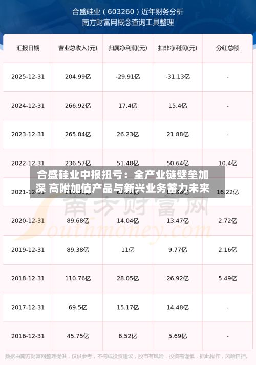 合盛硅业中报扭亏:全产业链壁垒加深 高附加值产品与新兴业务蓄力未来-第3张图片