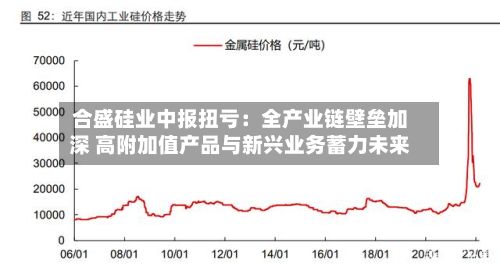 合盛硅业中报扭亏:全产业链壁垒加深 高附加值产品与新兴业务蓄力未来-第2张图片