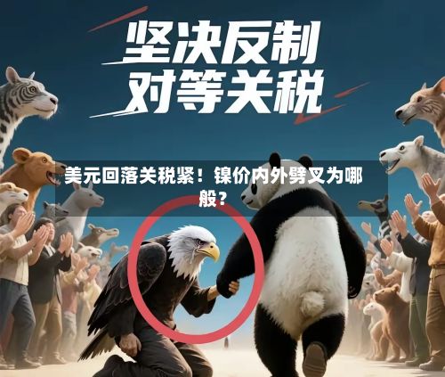 美元回落关税紧！镍价内外劈叉为哪般？-第2张图片