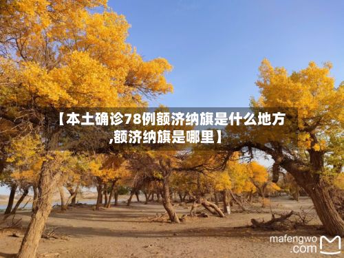 【本土确诊78例额济纳旗是什么地方,额济纳旗是哪里】-第2张图片
