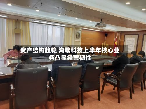 资产结构趋稳 海默科技上半年核心业务凸显经营韧性-第3张图片