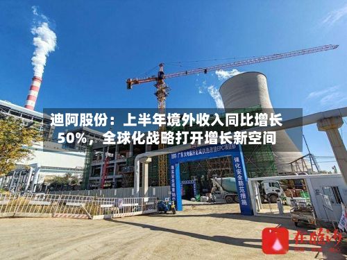 迪阿股份：上半年境外收入同比增长50%，全球化战略打开增长新空间-第3张图片