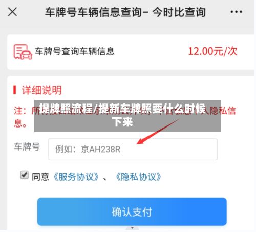 提牌照流程/提新车牌照要什么时候下来