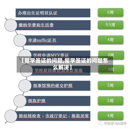 【留学签证的问题,留学签证的问题怎么解决】-第3张图片