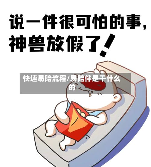 快速易陪流程/易陪伴是干什么的