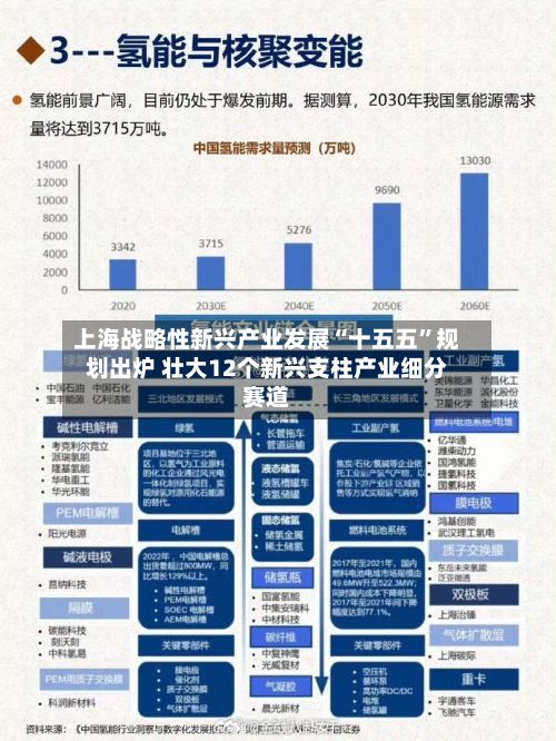 上海战略性新兴产业发展“十五五”规划出炉 壮大12个新兴支柱产业细分赛道-第2张图片